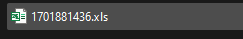 xls_filename.png